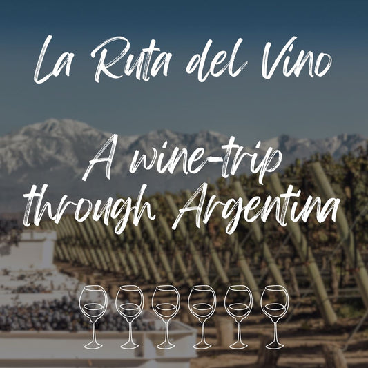 La Ruta del Vino: Wine Tasting Adventure