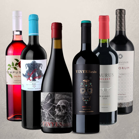 argentine wine box malbec mendoza salta patagonia  argentiniche weine