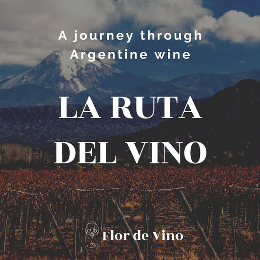 'La Ruta del Vino' Argentina Wine Experience
